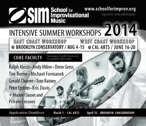 SIM workshops 2014